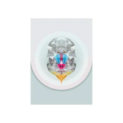 KomarWandbild Baboon 50x70 cm