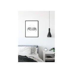 KomarWandbild Crab White 50x70 cm