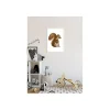 KomarWandbild Cute Animal Squirrel 50x70 cm