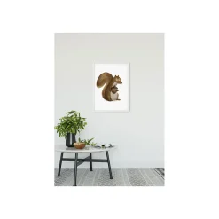 KomarWandbild Cute Animal Squirrel 50x70 cm