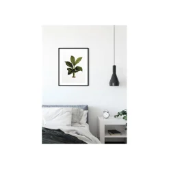 KomarWandbild Elastica Leaf 50x70 cm