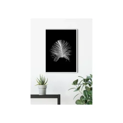 KomarWandbild Feather Black 50x70 cm