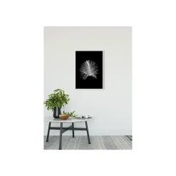 KomarWandbild Feather Black 50x70 cm