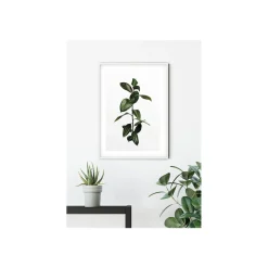KomarWandbild Ficus Branch 40x50 cm