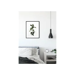 KomarWandbild Ficus Branch 40x50 cm