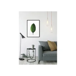 KomarWandbild Ficus Leaf 50x70 cm