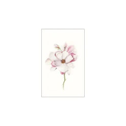 KomarWandbild Magnolia Blossom 50x70 cm