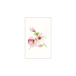 KomarWandbild Magnolia Breathe 40x50 cm