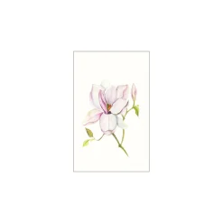 KomarWandbild Magnolia Shine 50x70 cm
