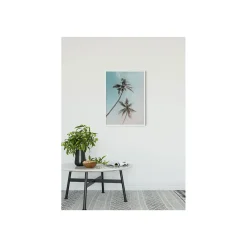 KomarWandbild Miami Palms 50x70 cm