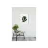 KomarWandbild Monstera Leaf 50x70 cm