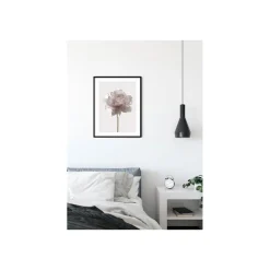 KomarWandbild Rose 50x70 cm