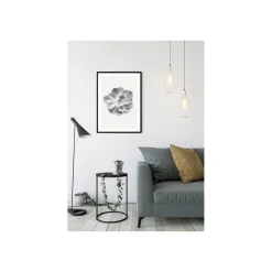 KomarWandbild Succulent Aeonium 50x70 cm