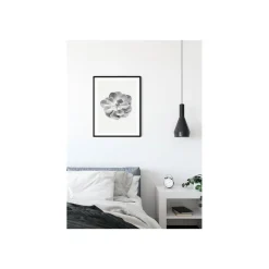 KomarWandbild Succulent Aeonium 50x70 cm