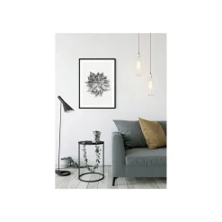 KomarWandbild Succulent Agave 50x70 cm