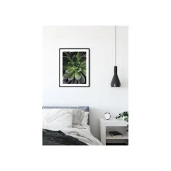 KomarWandbild Succulent Single 50x70 cm