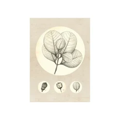 KomarWandbild Transparent Leaf 50x70 cm
