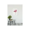 KomarWandbild Tulip 50x70 cm