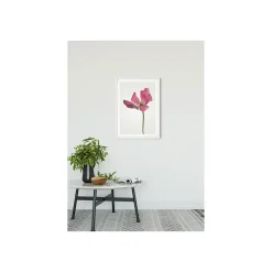 KomarWandbild Tulip 50x70 cm