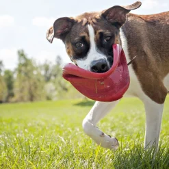 Kong HSZ Flyer Frisbee L rot Dm.22,5cmNaturkatuschuk