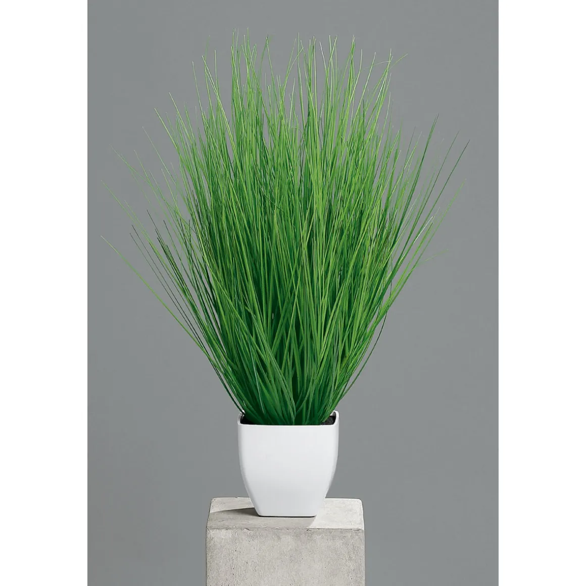 Kunstgras im Kunststofftopf weiß 55 cm