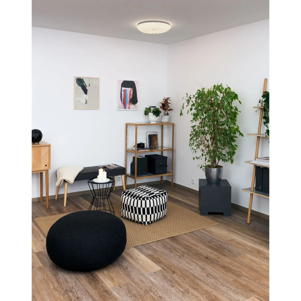 LED-Deckenleuchte Shining Coral 24W