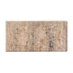 No. 1 Light muschelkalk 40x20x4cm