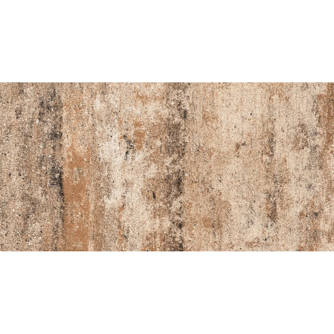 No. 1 Nature Muschelkalk 60x60x4 cm