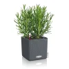 Pflanzkübel Cube Color Komplettset 14 cm schiefergrau