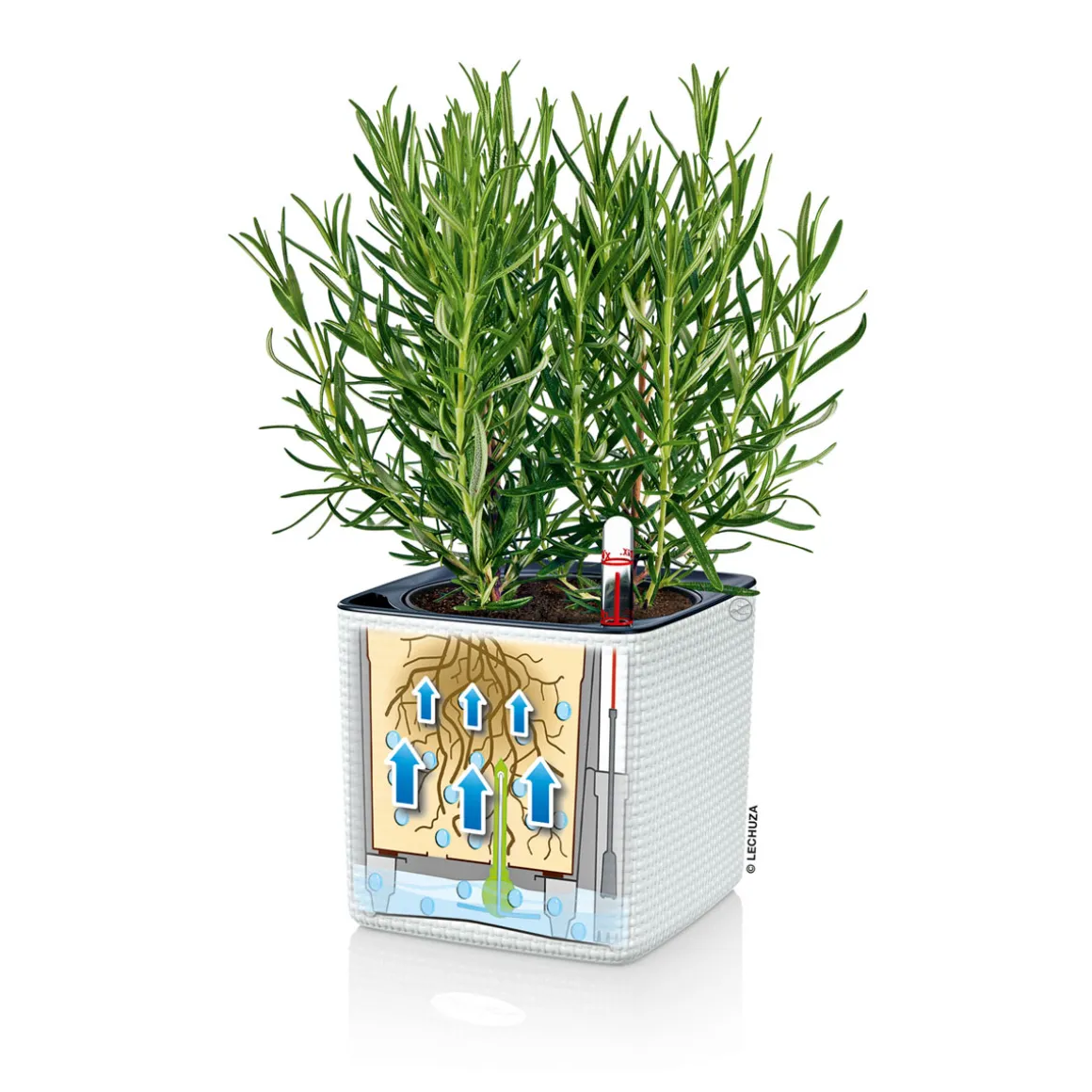 Pflanztopf Cube Color Komplettset 14 cm weiß
