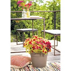 Pflanztopf Vaso Save R 29 cm camel