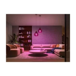 Philips Hue Starter-Set White und Color Ambiance 2 x LED-Lampe E27 Bridge Dimmschalter Smart Plug