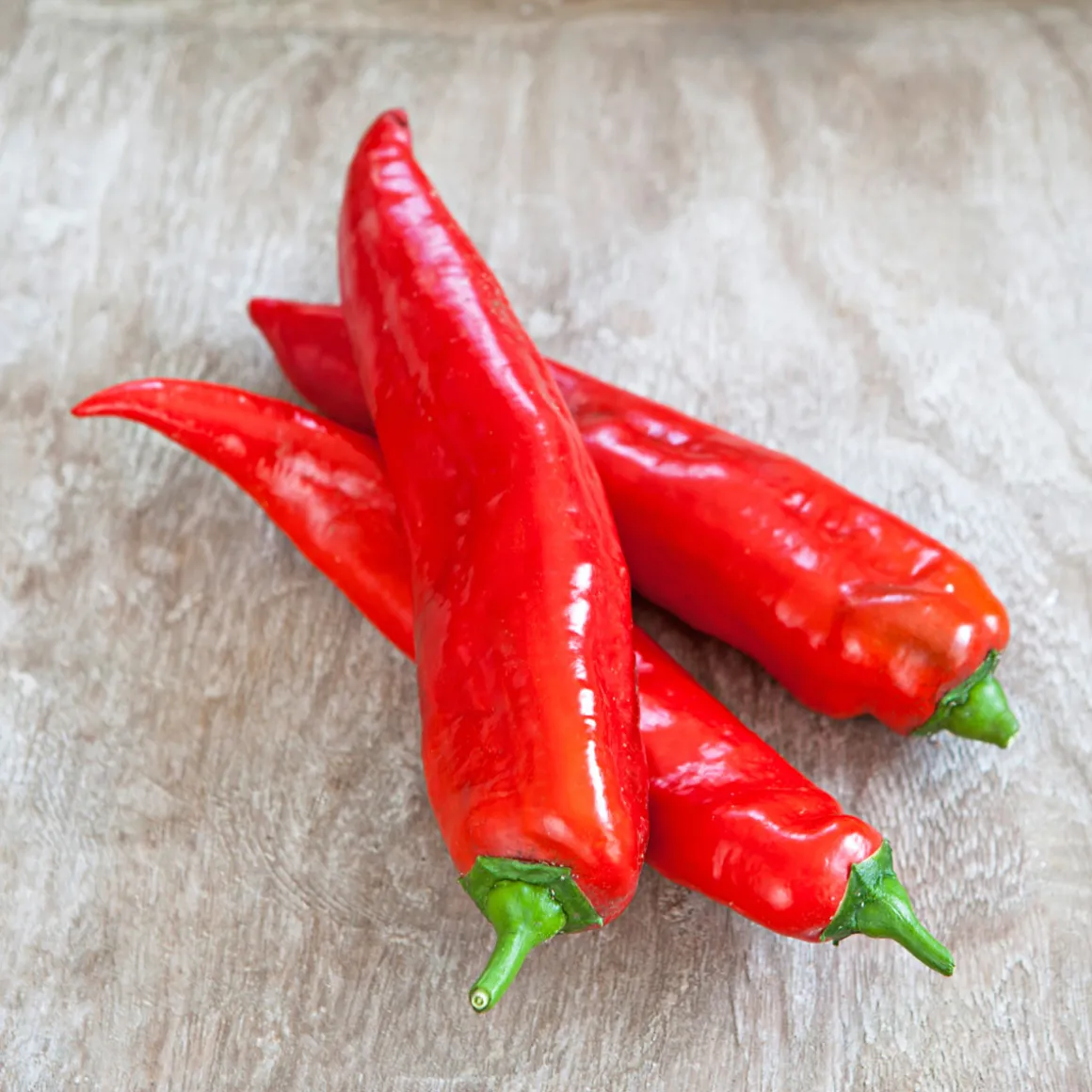 PlantiflorSnackpaprika plastikfrei Topf 12 cm