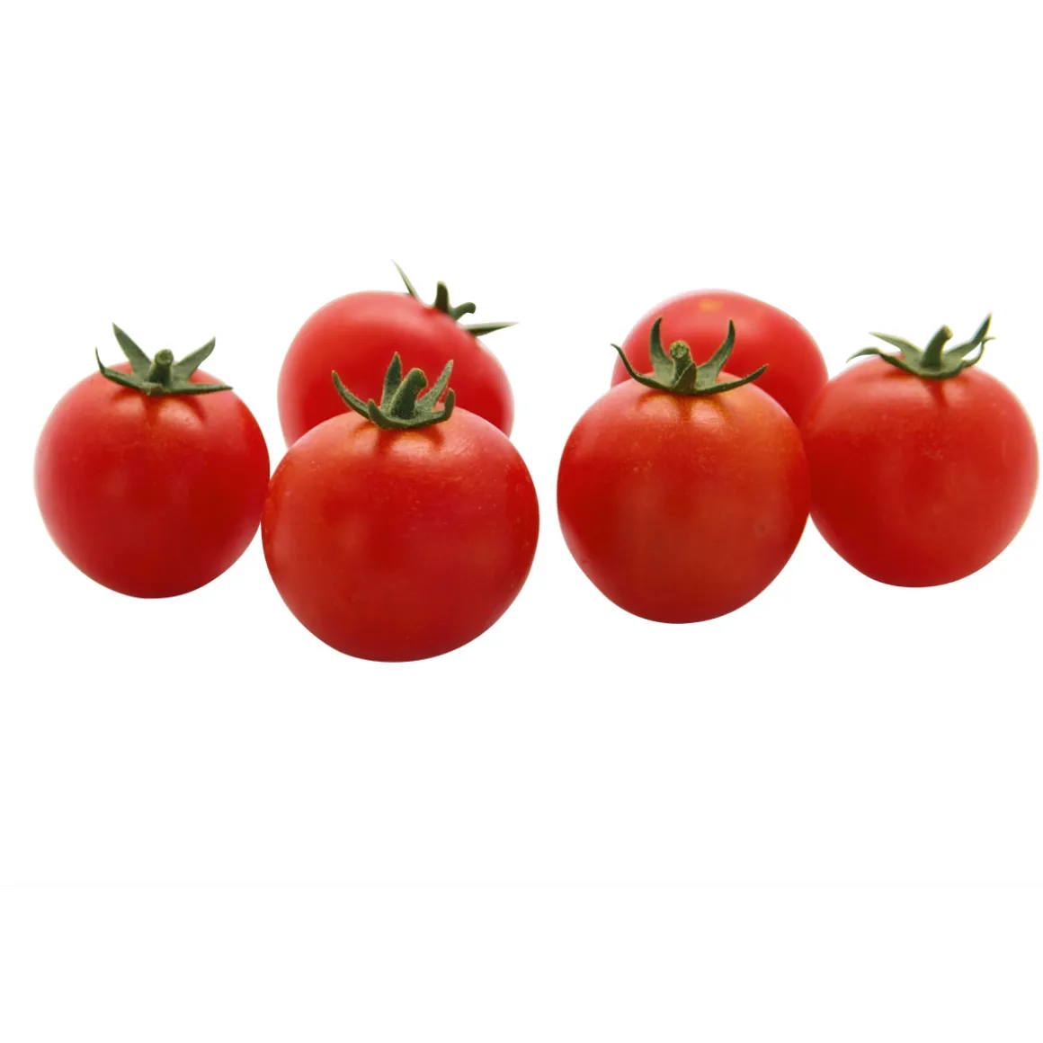 Plantiflor Veredelte Salattomate Topf Durchmesser 12 cm