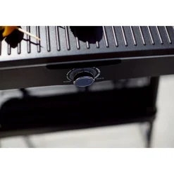 Rothmann Elektrogrill Brownsville 220 V