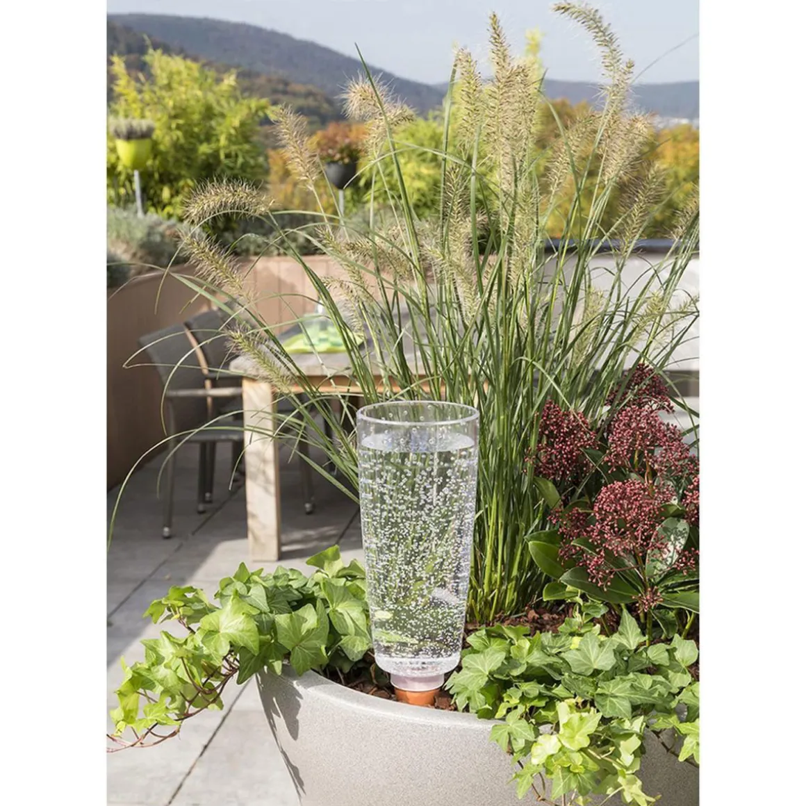 Scheurich Bewaesserungsglas Copa transparent 9 x 18 cm