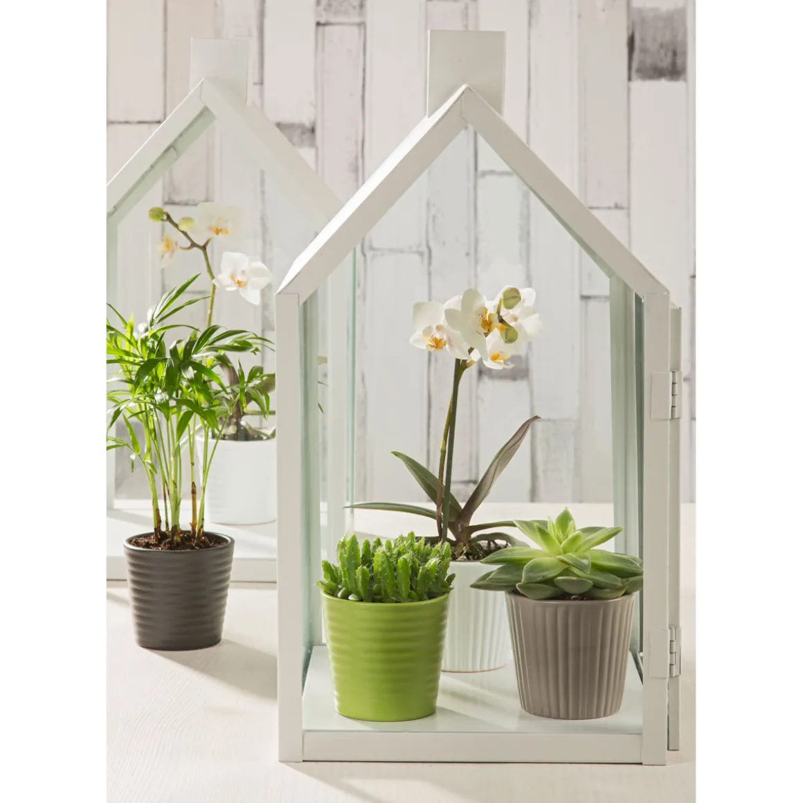 Scheurich Mini Übertopf Expressive 937 7 cm
