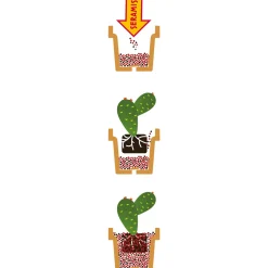 Seramis Spezial-Substrat für Kakteen/ Sukkulenten 7 L