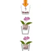 Seramis Spezial-Substrat für Orchideen 7 L