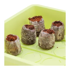 Siena GardenZimmer-Gewächshaus Uni-Grow 38 x 24 x 18 cm