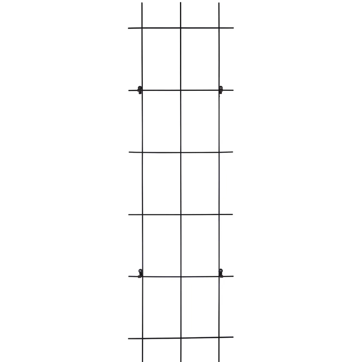 Spalier 3- strebig braun