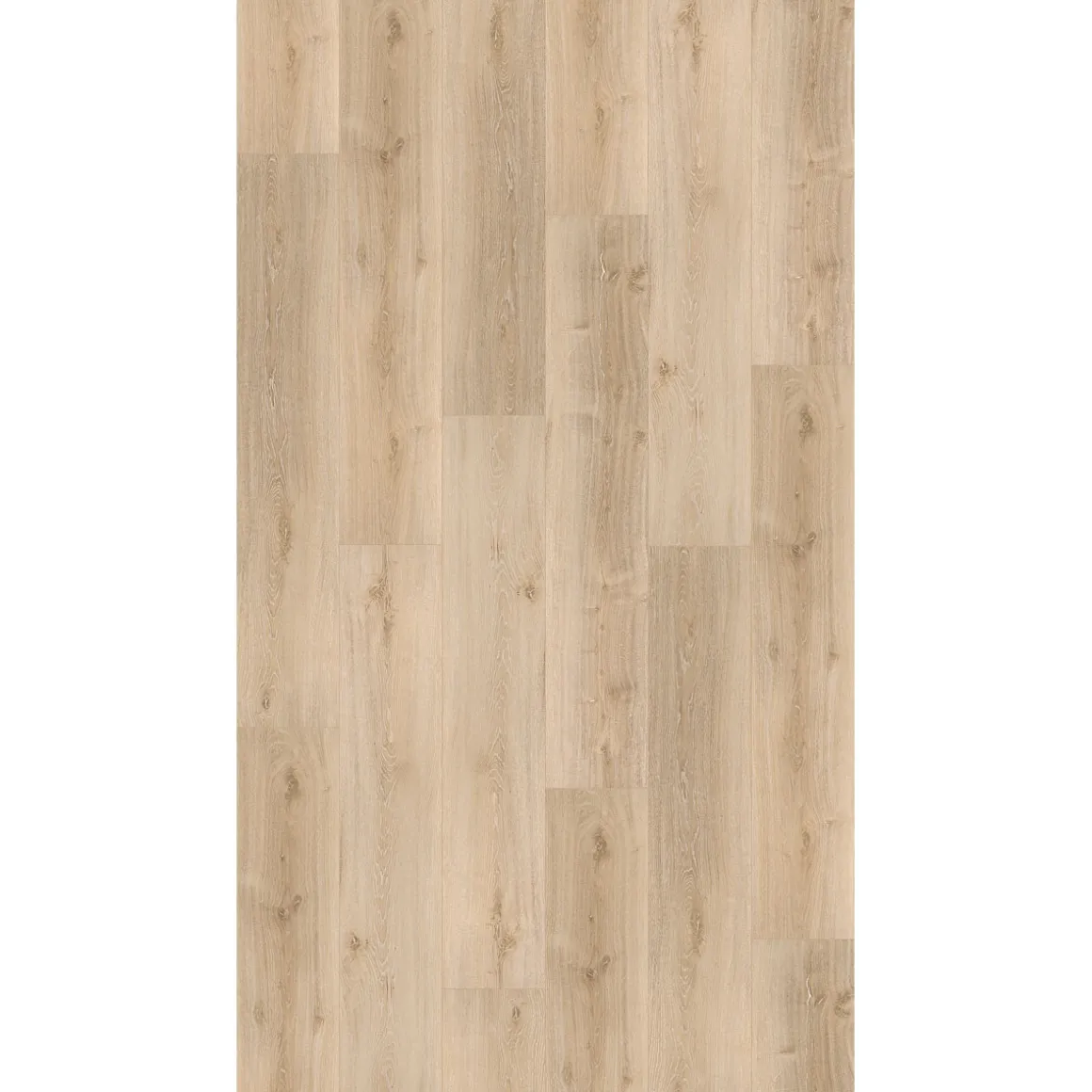 SPC Vinyl Basic Eiche Royal hell gekaelk1209x225x5,3 mm geb. Stuktur LHD gefast