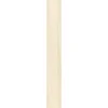 Specht Ambiente Paneel 10mm Birke hell