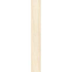 Specht Ambiente Paneel 10mm Birke hell