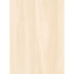 Specht Ambiente Paneel 10mm Birke hell