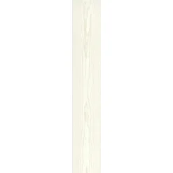 Specht Ambiente Paneel 10mm Pinie weiß