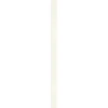 Specht Ambiente Paneel 10mm Pinie weiß