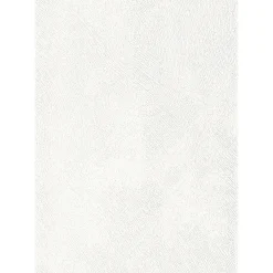 Specht Ambiente Paneel 10mm weiß Struktur