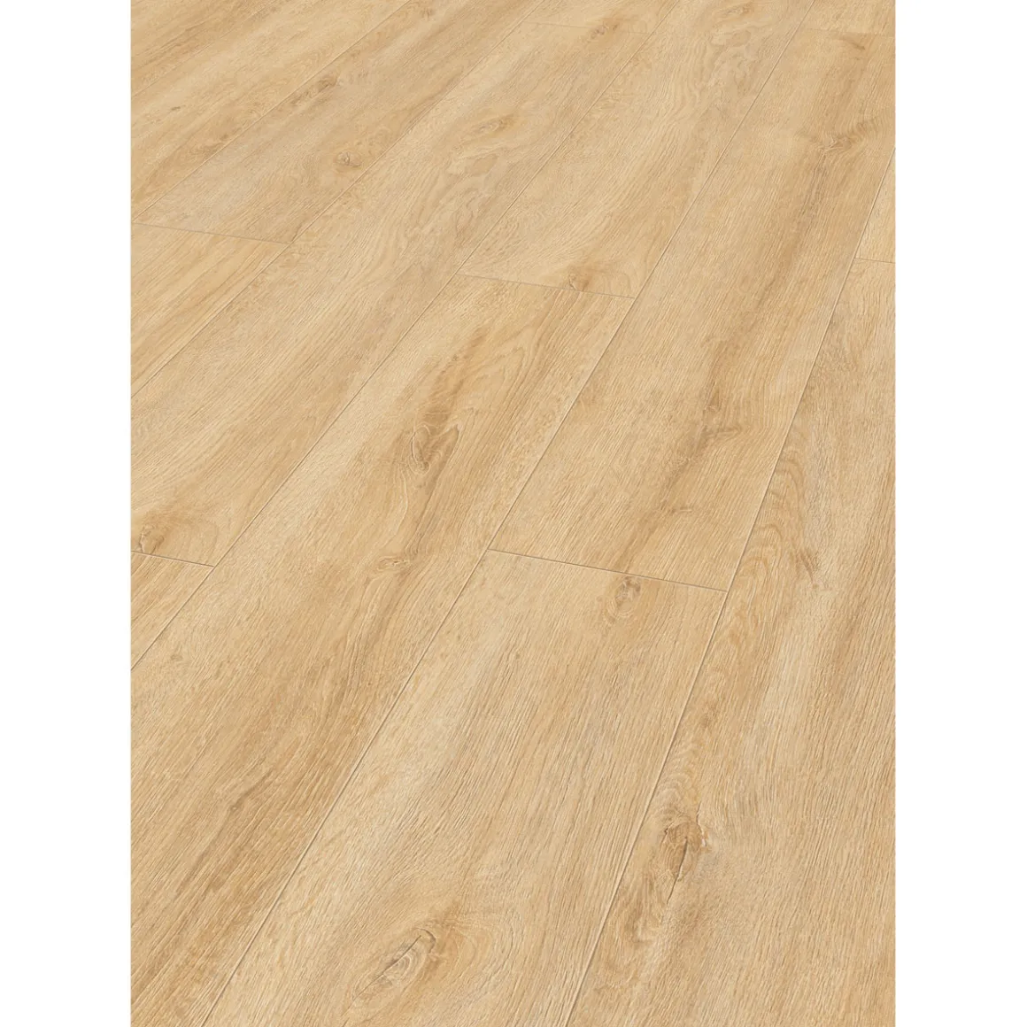 Specht Laminatboden Ambiente Ruhrtaleiche Beige 138 x 24,4 cm