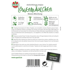 Sperli Löwenmaul ngs Riesen
